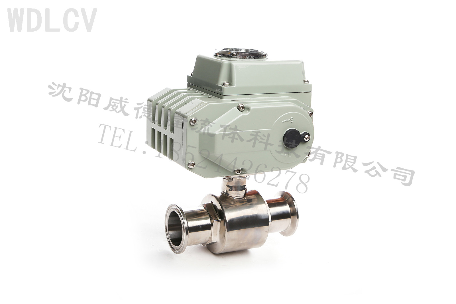 衛生級電動球(qiú)閥 WDLQ981F