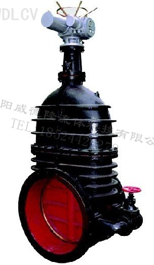 鑄鐵電動暗(an)杆閘閥 WDLZ941T-10 